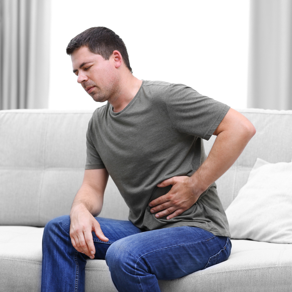ilustração das artérias mesentéricas que levam sangue ao intestino